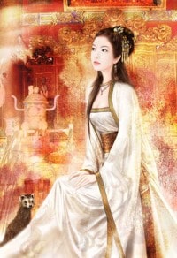 武布中華