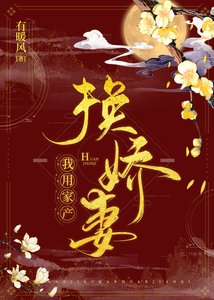 我用家产换娇妻
