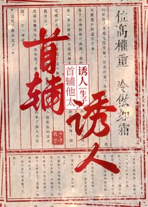 清冷首辅怀了王爷的崽后
